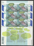 Nederland NVPH 2024 Vel Onderwaternatuur Bittervoorn 2024 MNH Postfris Europa Fish Bitterling - Neufs