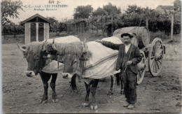 64 Type D'attelage Bearnais Dans Les Pyrenees. - Autres & Non Classés