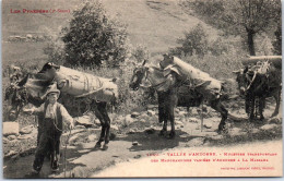 ANDORRE - LA MASSANA - Transport Par Mules  - Andorre