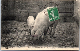 41 En Sologne - Les Pensionnaires (cochons). - Autres & Non Classés