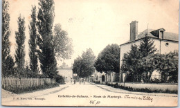45 CORBEILLES - La Route De Montargis. - Autres & Non Classés
