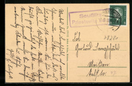 AK Landpoststempel Seusslitz /Priestewitz Land  - Other & Unclassified