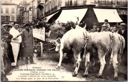 45 ORLEANS - Boucherie Des Halles, Bœufs Gras De La Mi-careme  - Orleans