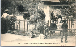 75005 PARIS - Les Chameaux Des Jardins Des Plantes  - Arrondissement: 05
