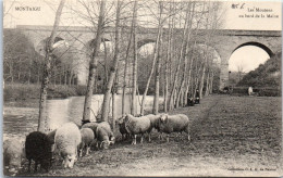 85 MONTAIGU - Les Moutons Au Bord De La Maine  - Otros & Sin Clasificación