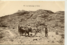 2B-CORSE  - Le Labourage En Corse - Attelages