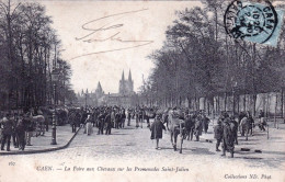 14 - Calvados -  CAEN -  La Foire Aux Chevaux Sur Les Promenades Saint Julien - Caen