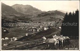 11901076 Gonten Panorama Ziegen Gonten - Sonstige & Ohne Zuordnung