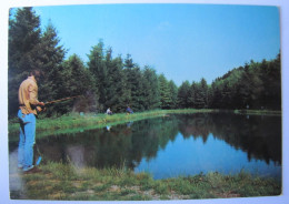 BELGIQUE - NAMUR - WALCOURT - YVES-GOMEZEE - Etang Du Franc Bois - Walcourt