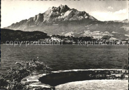 11887006 Tribschen Luzern Pilatus Tribschen - Sonstige & Ohne Zuordnung