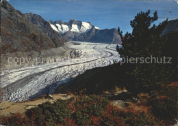 11886406 Aletschgletscher Mit Aletschwald Und Wannenhorn Aletschgletscher - Andere & Zonder Classificatie