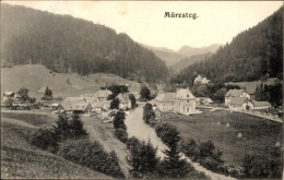CPA Mürzsteg Steiermark, Gesamtansicht - Other & Unclassified