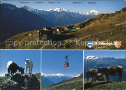 11886106 Kuehboden Panorama Bergziegen Rinder Eggishornbahn Unterwasser Toggenbu - Altri & Non Classificati