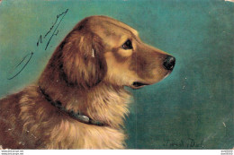 PROFIL DE CHIEN - Honden