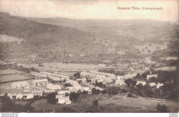 GENERAL VIEW CWMGWRACH - Breconshire