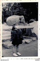 PHOTO DE 6 X 8.5 CMS FILLETTE ET ELEPHANT - Anonyme Personen