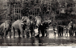 TEMPLE ELEPHANTS AT KATUGASTOTA RIVER NEAR KANDY CEYLON - Sri Lanka (Ceylon)