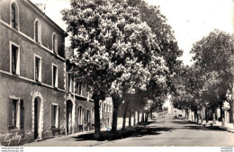 44 NORT SUR ERDRE BOULEVARD DE LA LIBERTE CPSM - Nort Sur Erdre