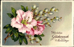 CPA Glückwunsch Namenstag, Blumen, Weidenkätzchen - Sonstige & Ohne Zuordnung