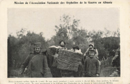 Albanie Mission De L'association Nationale Des Orphelins De La Guerre Deux Jumeaux Serbes Serbian Twins - Albanie