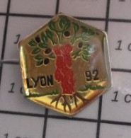1818c Pin's Pins / Beau Et Rare / VILLES / ARBRE OLIVIER LYON 92 - Ciudades