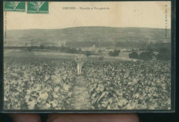 CHICHEE VIGNOBLE         ( MES PHOTOS NE SONT PAS JAUNES ) - Sonstige & Ohne Zuordnung