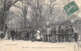 P-24-Mi-Is-1754 :  LYON. PARC DE LA TETE D'OR. LES CAGES AUX SINGES - Autres & Non Classés