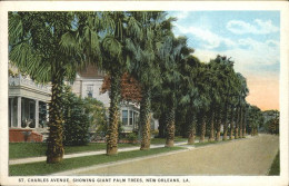 11320868 New_Orleans_Louisiana St: Charles Avenue Giant Palms - Sonstige & Ohne Zuordnung