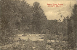 11320851 Sullivan County New York Beaver Brook Stream USA - Sonstige & Ohne Zuordnung