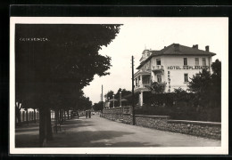 AK Crikvenica, Strassenpartie Am Hotel Esplanade  - Kroatien