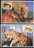 2005 CHINA-CANADA JOINT Leopard And Cougar MC-67 - Maximum Cards