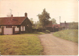 LE QUESNEL-AUBRY (60) Un Coin à Situer  CPSM GF - Andere & Zonder Classificatie