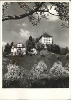 11318181 Gelfingen Schloss Heidegg Gelfingen - Sonstige & Ohne Zuordnung