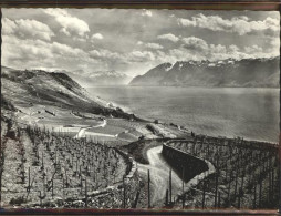 11318124 Lavaux VD Lac Leman Lavaux VD - Andere & Zonder Classificatie