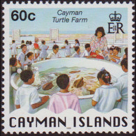 CAYMAN IS. 1999 - Scott# 727a Turtle Farm Set Of 1 MNH - Iles Caïmans
