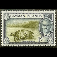 CAYMAN IS. 1950 - Scott# 124 Green Turtle 1p MNH - Kaimaninseln