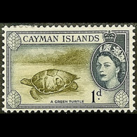 CAYMAN IS. 1953 - Scott# 137 Green Turtle 1d LH - Cayman Islands