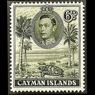 CAYMAN IS. 1943 - Scott# 107 Hawksbill Turtles 6p LH - Iles Caïmans