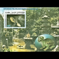 CAMBODIA 2000 - Scott# 1923 S/S Turtle MNH - Camboya