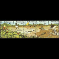 BAHAMAS 1984 - Scott# 568 Birds Set Of 5 MNH - Bahamas (1973-...)