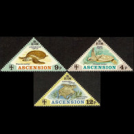ASCENSION 1973 - #170-2 Turtles Set Of 3 MNH Back Toned - Ascension