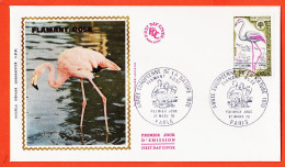 31066  / ⭐ (•◡•) FDC 1 Soie ◉ Année Européenne NATURE Flamant Rose ◉ VISAGE-JACANA ◉ 1er Jour Emission PARIS 21-04-1970  - 1970-1979