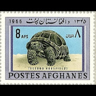 AFGHANISTAN 1966 - Scott# 726 Tortois 8a MNH - Afghanistan