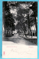 31363 / ANGERS 49-Maine Loire Boulevard De L' HOPITAL Allée Arbres 1900s Editions K-L 2770 - Angers