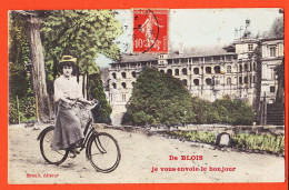 31015 / ⭐ ♥️ Rare De BLOIS (41) Femme Vélo Cycliste Vous Envoie BONJOUR 1908 à LHOEST Rue Rosa-Bonheur Bordeaux / BRAULT - Blois