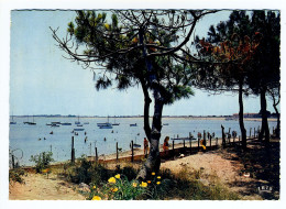 ÎLE D'OLERON - Plage De Saint Denis - Ile D'Oléron