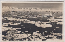 Spitzbergen. Freibeis In Der Kingsbay. * - Norway