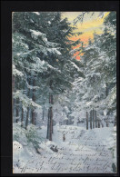 Künstler-AK Sonnenaufgang Im Winterwald, MÜNCHEN 14.1.1905 Nach NEUBURG 14.1.05 - Zonder Classificatie