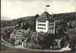 11309914 Gelfingen Schloss Heidegg   Fliegeraufnahme Gelfingen - Otros & Sin Clasificación