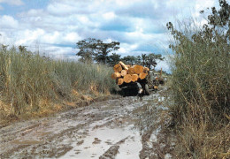 Gabon - La Saison Des Pluies - Gabón